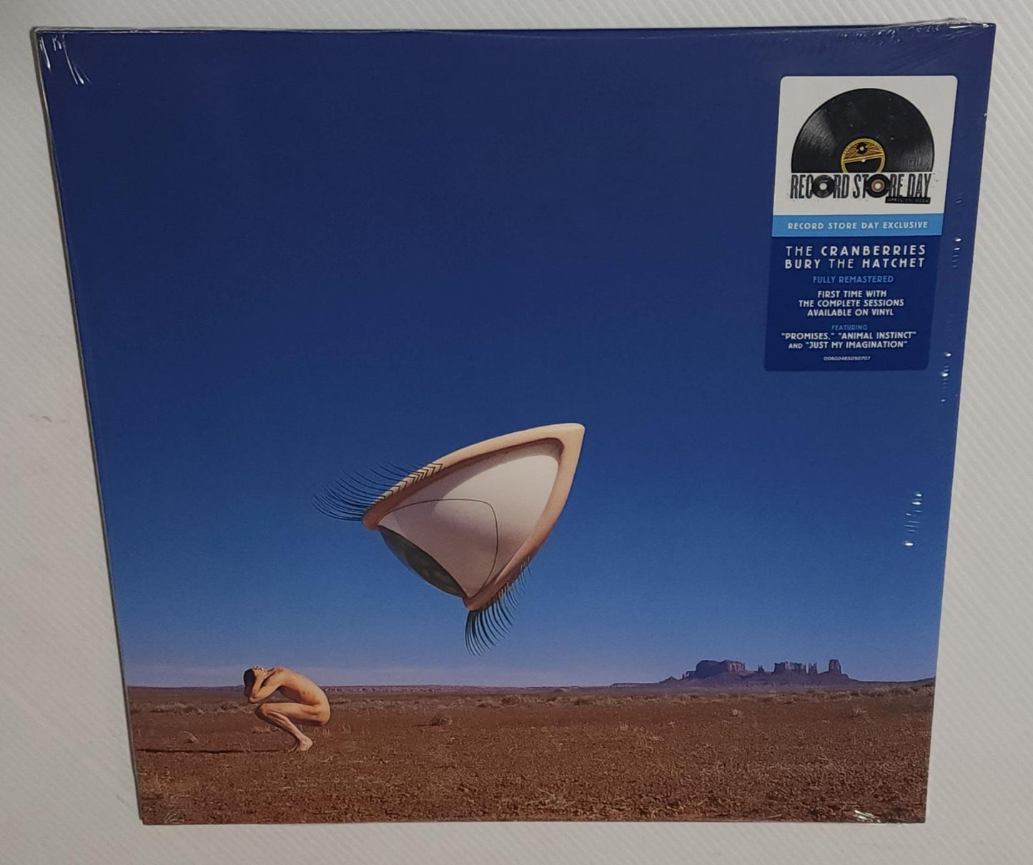 The Cranberries – Bury The Hatchet (The Complete Sessions) (2024 RSD) (Limited Edition Vinyl LP)