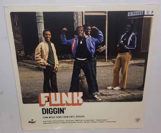 Various Artists – Funk Diggin' (Funk Music Gems FroM Vinyl Diggers) (2022) (Vinyl LP)